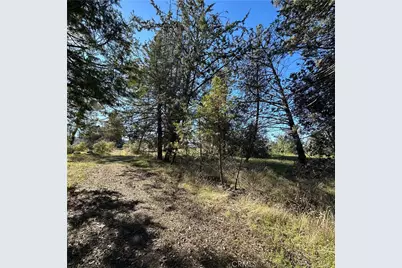 5235 Gaddy, Kelseyville, CA 95451 - Photo 43