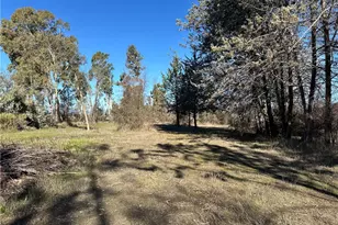 5235 Gaddy, Kelseyville, CA 95451 - Photo 45