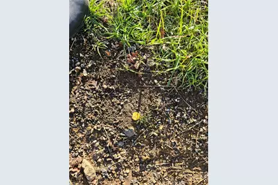 10167 Bell, Lower Lake, CA 95457 - Photo 3