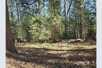 16303 Niblick, Cobb, CA 95426 - Photo 1