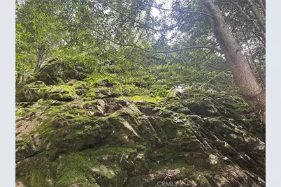 9000 Scotts Valley Road, Upper Lake, CA 95485 - Photo 9