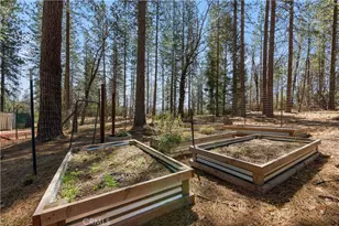 8207 Harrington Flat, Kelseyville, CA 95451 - Photo 33