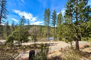 12236 Western Pine, Loch Lomond, CA 95461 - Photo 31
