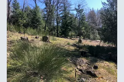 8713 Fox, Cobb, CA 95426 - Photo 9