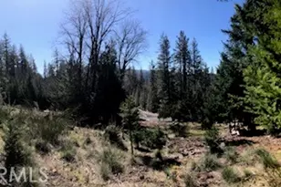 8713 Fox, Cobb, CA 95426 - Photo 1