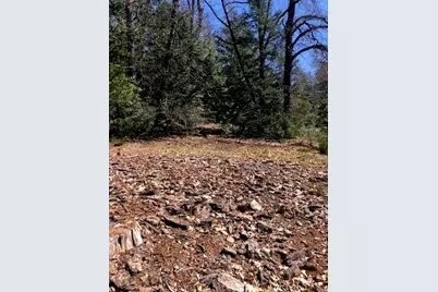 8713 Fox, Cobb, CA 95426 - Photo 7