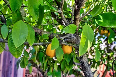 16593 Buckhorn Road, Hidden Valley Lake, CA 95467 - Photo 19