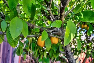 16593 Buckhorn Rd, Hidden Valley Lake, CA 95467 - Photo 19