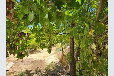 3950 Emile Avenue, Clearlake, CA 95422 - Photo 9