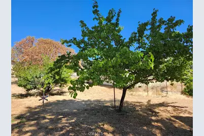 3950 Emile Avenue, Clearlake, CA 95422 - Photo 23
