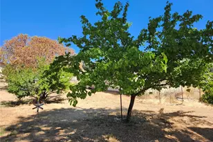 3950 Emile Ave, Clearlake, CA 95422 - Photo 23