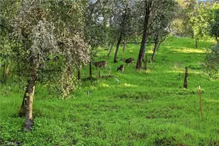 3398 Ogden Rd, Lucerne, CA 95458 - Photo 35