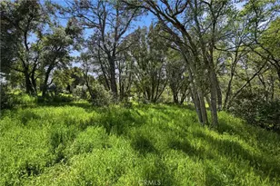 15560 20th Ave, Clearlake, CA 95422 - Photo 19