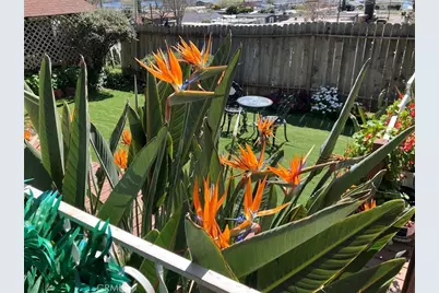 9495 Glenhaven, Glenhaven, CA 95443 - Photo 5