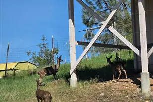 4047 Foothill, Lucerne, CA 95458 - Photo 11