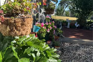 10180 Hwy 29, Lower Lake, CA 95457 - Photo 9