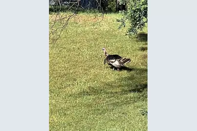 10180 Highway 29, Lower Lake, CA 95457 - Photo 5