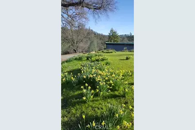 2002 Ogulin Canyon, Clearlake, CA 95422 - Photo 15