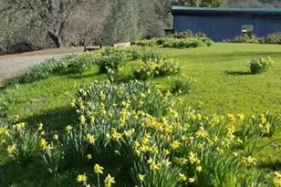 2002 Ogulin Canyon, Clearlake, CA 95422 - Photo 15