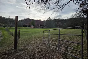 2002 Ogulin Canyon, Clearlake, CA 95422 - Photo 13