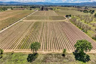 2195 Stone Dr, Lakeport, CA 95453 - Photo 45