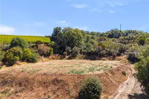 7704 Hwy 29, Kelseyville, CA 95451 - Photo 53