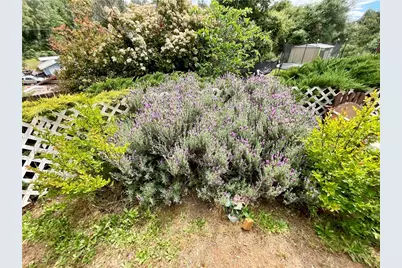 7282 Marin Street, Nice, CA 95464 - Photo 21