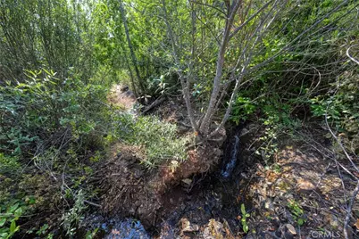 1 Lot 1 Butts Canyon Road, Pope Valley, CA 94567 - Photo 21