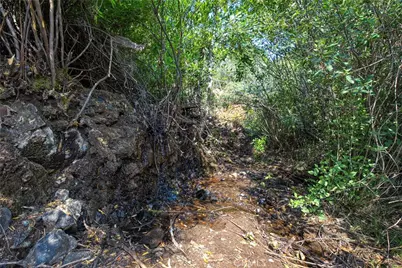 1 Lot 1 Butts Canyon Road, Pope Valley, CA 94567 - Photo 17