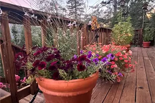 9714 St Helena, Cobb, CA 95426 - Photo 27