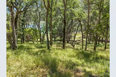 8239 Little Borax Lake Rd, Kelseyville, CA 95451 - Photo 11