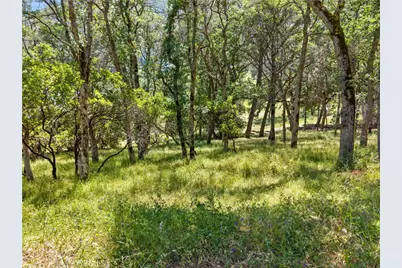 8239 Little Borax Lake Rd, Kelseyville, CA 95451 - Photo 13