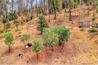 11541 Anderson Springs Road, Middletown, CA 95461 - Photo 5
