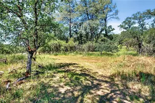 13505 Spruce Grove, Lower Lake, CA 95457 - Photo 21