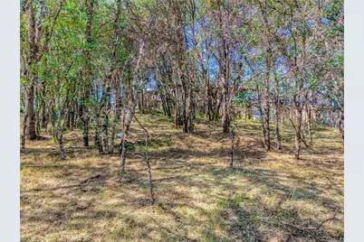 16793 Big Bear, Lower Lake, CA 95457 - Photo 7