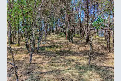 16793 Big Bear, Lower Lake, CA 95457 - Photo 11