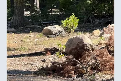 0 Logging Road, Viola, CA 96088 - Photo 5