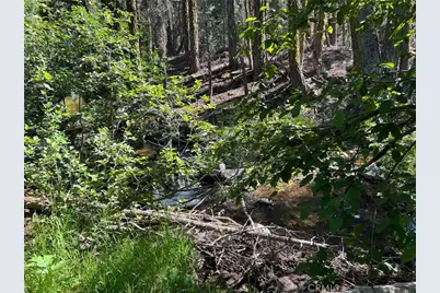 0 Logging Road, Viola, CA 96088 - Photo 9