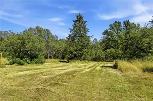 22550 Shady Grove Rd, Middletown, CA 95461 - Photo 51