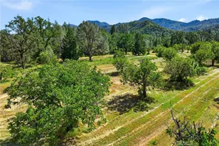 22550 Shady Grove Rd, Middletown, CA 95461 - Photo 57