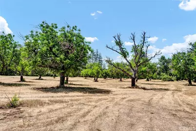 22550 Shady Grove Road, Middletown, CA 95461 - Photo 41
