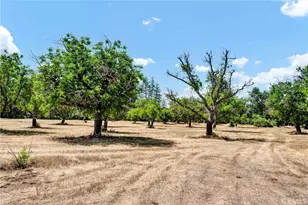 22550 Shady Grove Rd, Middletown, CA 95461 - Photo 41