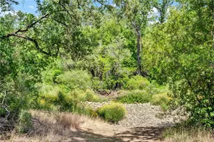 22550 Shady Grove Rd, Middletown, CA 95461 - Photo 45