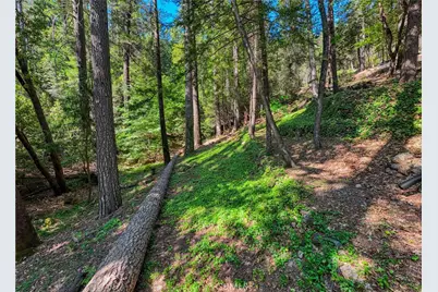 17301 Dogwood Way, Middletown, CA 95461 - Photo 59