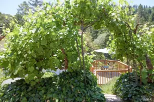 19400 Scenic Dr, Redwood Valley, CA 95470 - Photo 67