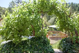 19400 Scenic Dr, Redwood Valley, CA 95470 - Photo 67