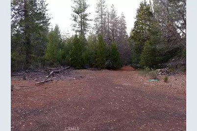 11254 Airstrip Road, Loch Lomond, CA 95461 - Photo 29