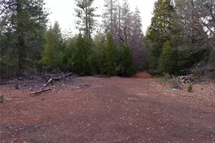 11254 Airstrip Rd, Loch Lomond, CA 95461 - Photo 29