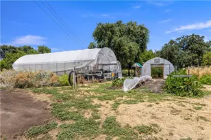 4550 Soda Bay, Kelseyville, CA 95451 - Photo 53