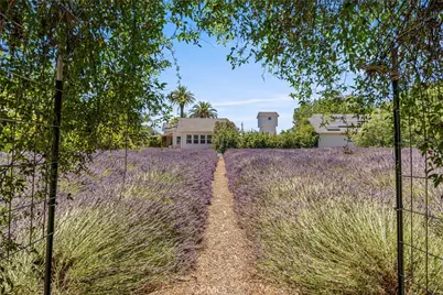 4550 Soda Bay, Kelseyville, CA 95451 - Photo 65